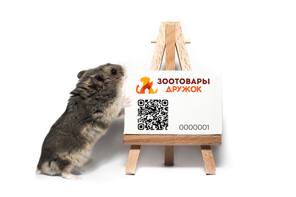 Система лояльности